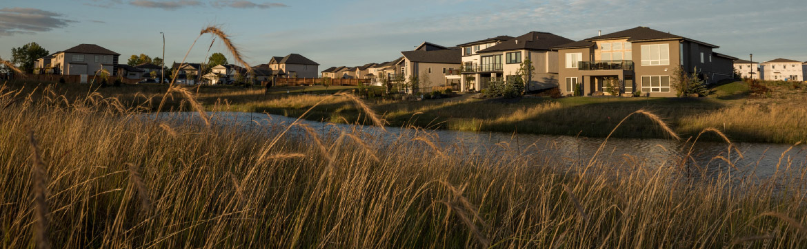 Ridgewood West Homes on Native Grasses and Wetlands