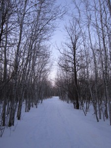 Harte Trail Winter