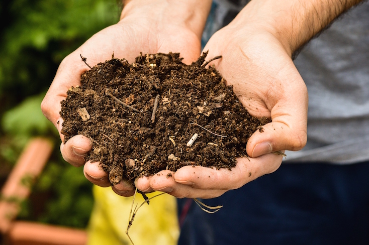 Hands holding compost ready for the garden