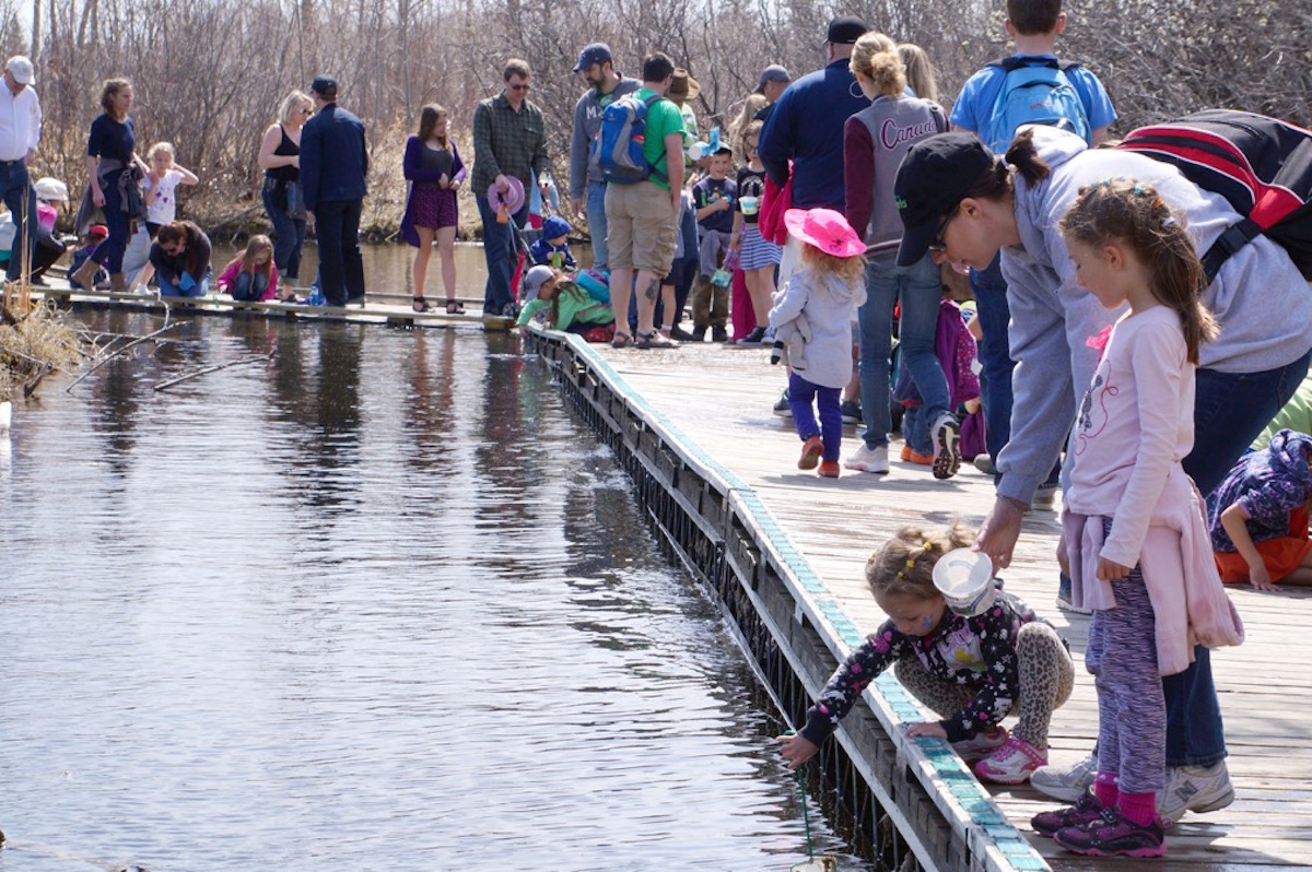 Earth Day at FortWhyte Boardwalk