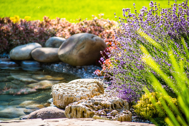 Pond Water Feature