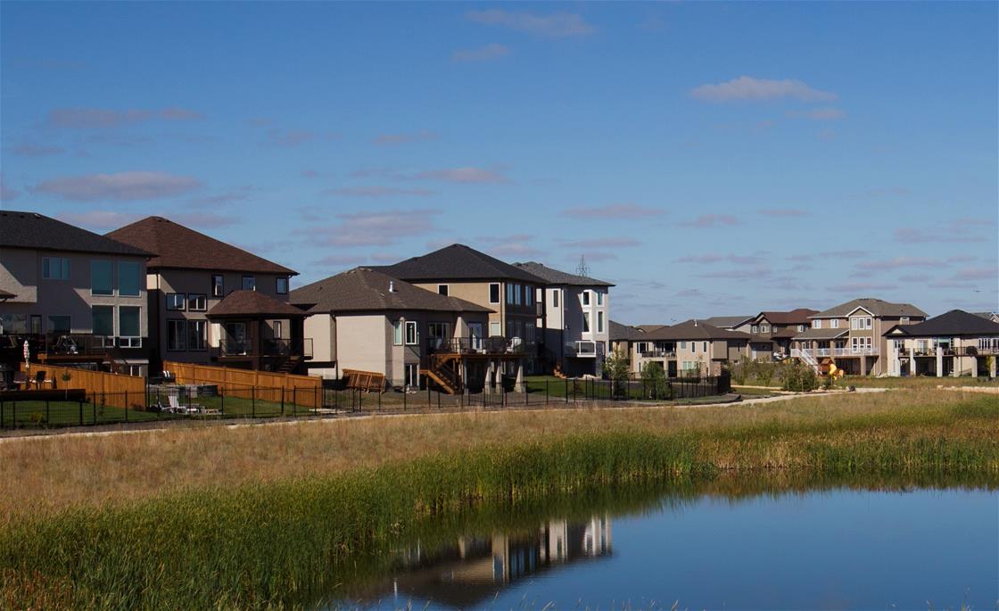 Wetland View