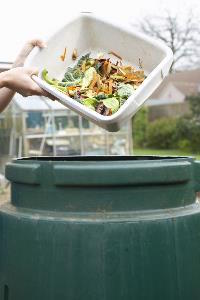 Composting in the backyard