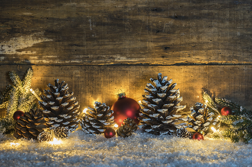 Celebrate the holidays near RidgeWood West Celebrate the holidays near RidgeWood West