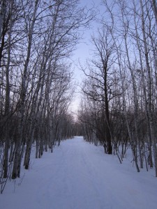 Harte Trail Winter Harte Trail Winter
