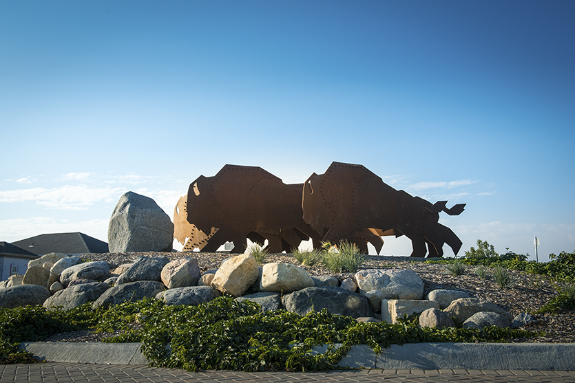RunningBison-RubbingStone-PublicArt RunningBison-RubbingStone-PublicArt