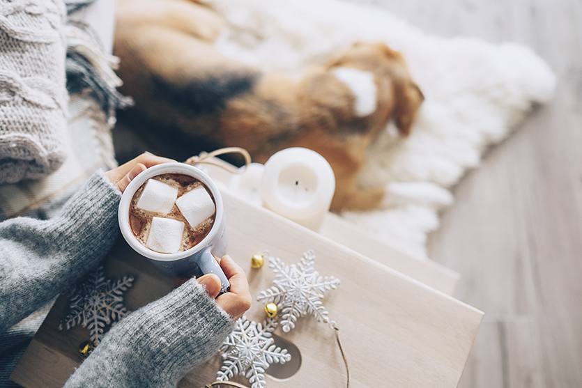 cozy - winterize your home cozy - winterize your home