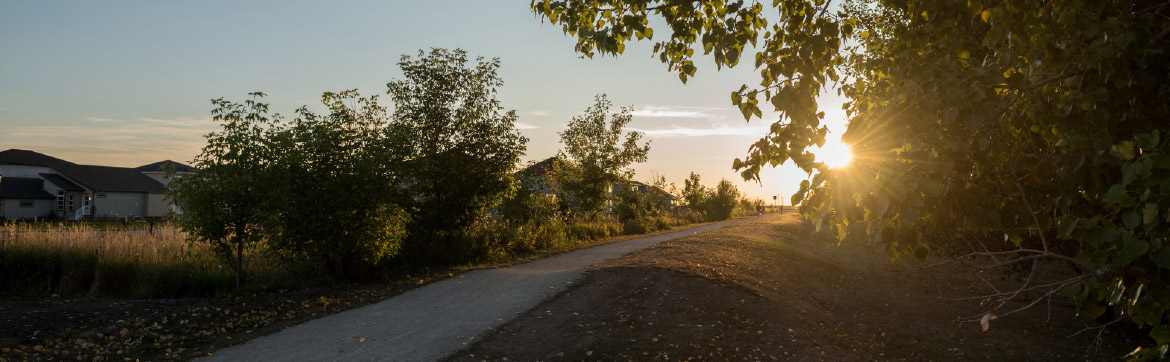 rww-nature-hartetrail