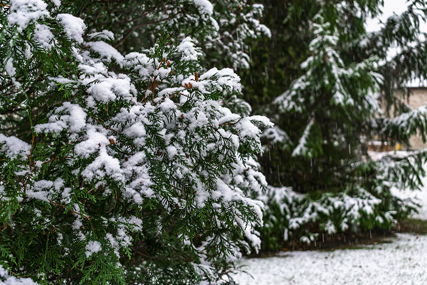 Landscaping - winterize your home